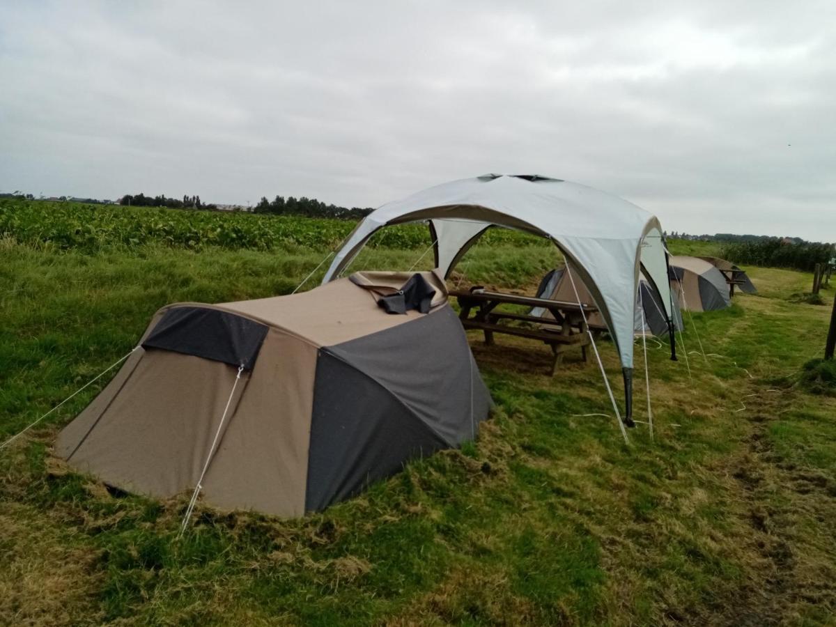 فندق Basic 2P Tent Sotterum Kornwerd المظهر الخارجي الصورة